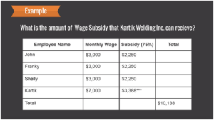 HOW TO APPLY FOR THE CANADA EMERGENCY WAGE SUBSIDY